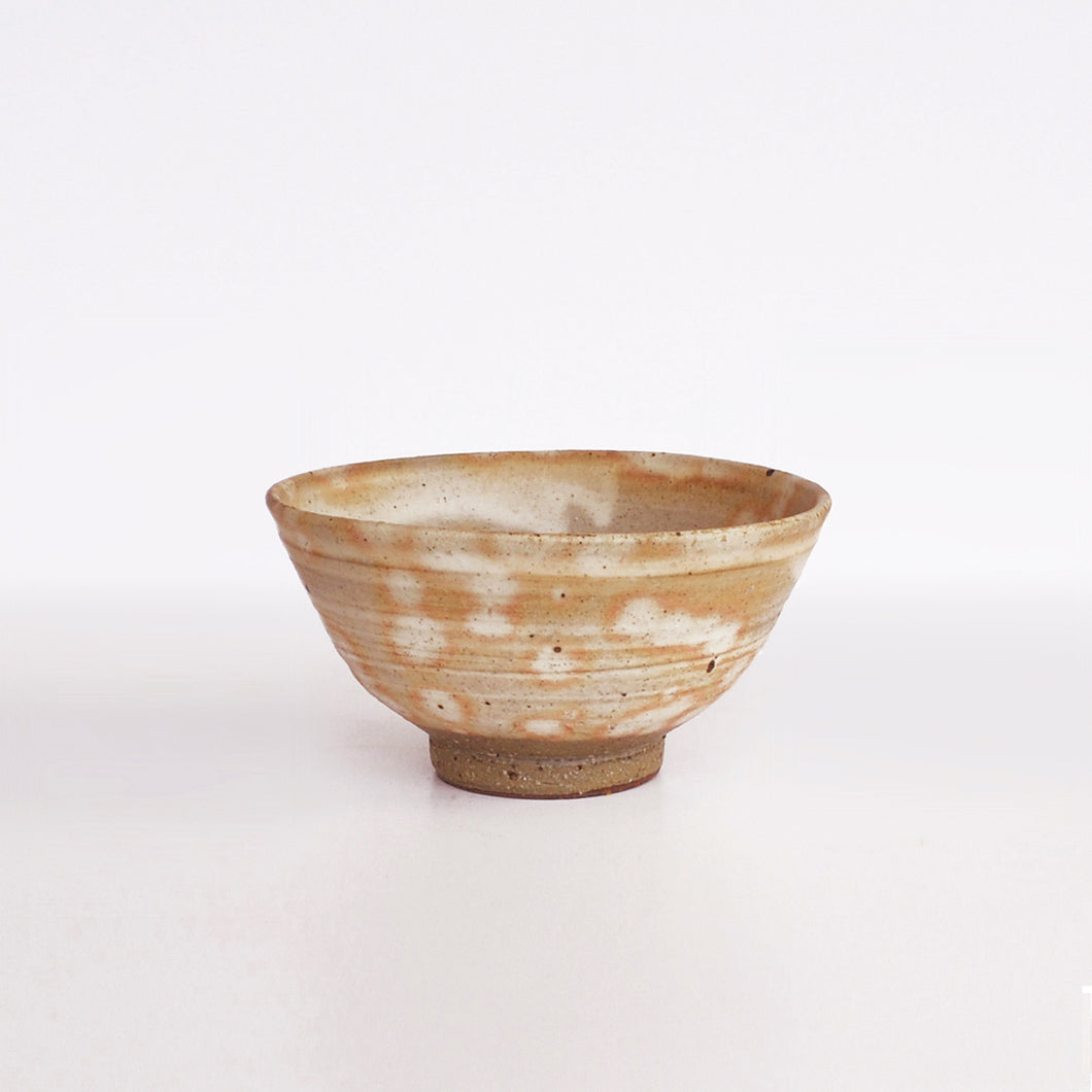 Shigaraki Rice Bowl from Japan